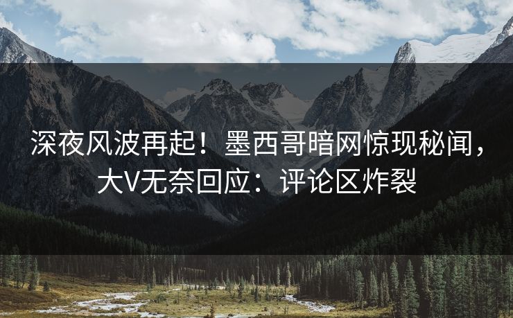 深夜风波再起！墨西哥暗网惊现秘闻，大V无奈回应：评论区炸裂