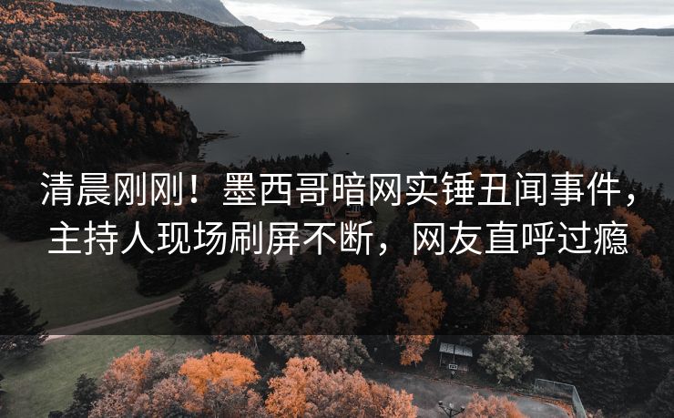 清晨刚刚！墨西哥暗网实锤丑闻事件，主持人现场刷屏不断，网友直呼过瘾