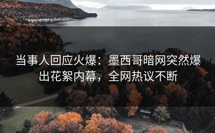 当事人回应火爆：墨西哥暗网突然爆出花絮内幕，全网热议不断