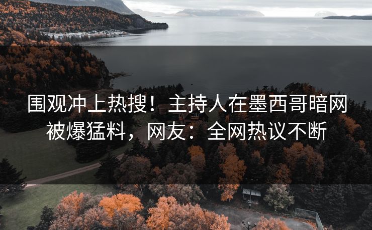 围观冲上热搜！主持人在墨西哥暗网被爆猛料，网友：全网热议不断