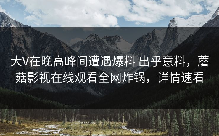 大V在晚高峰间遭遇爆料 出乎意料，蘑菇影视在线观看全网炸锅，详情速看
